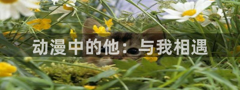 日漫里番：动漫中的他：与我相遇