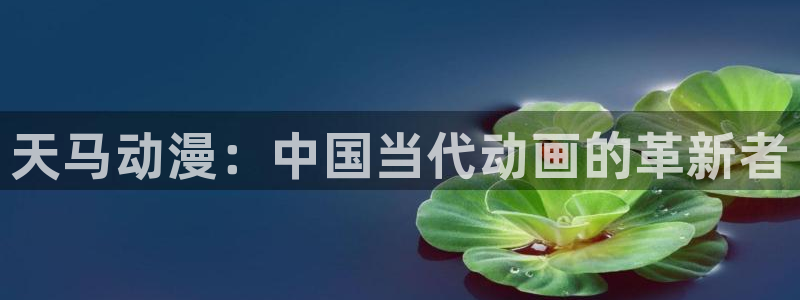 里番.：天马动漫：中国当代动画的革新者